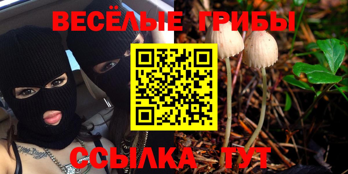 Галлюциногенные грибы Psilocybine cubensis Советск