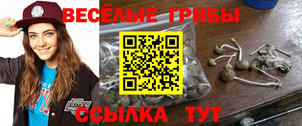 Советск  Псилоцибиновые грибы ЛСД  Вход с VPN 